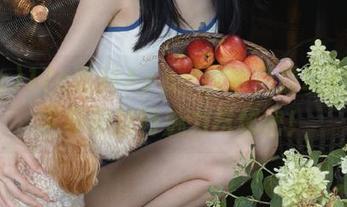 17c黑料App：探索免费动漫游戏世界的独特魅力与秘密！