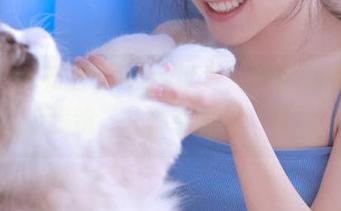 畅游51cg0世界：发现美味的吃瓜线路，让你享受每一刻！