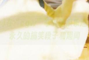 在“cgw”享受吃瓜乐趣，收藏永久的搞笑段子和趣闻