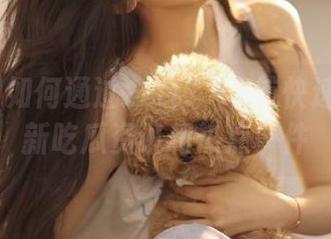 如何通过zztt11导航快速找到最新吃瓜资讯和热点事件