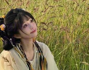 冲哥精选的wallpaper宝藏盘点，收藏高颜值壁纸必看